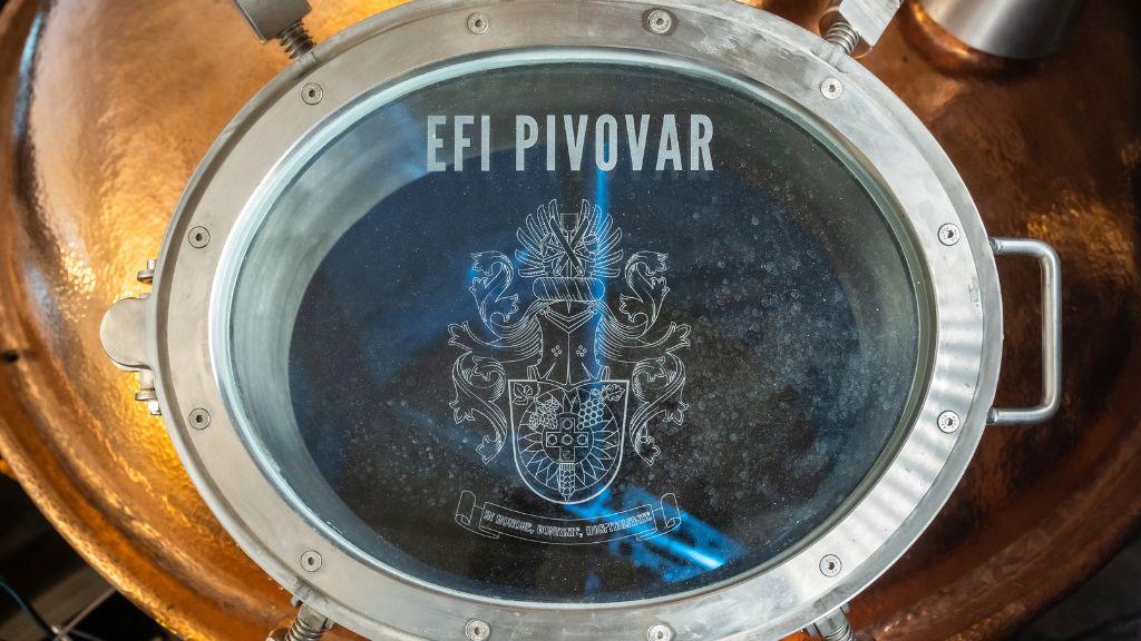 EFI Pivovar varna