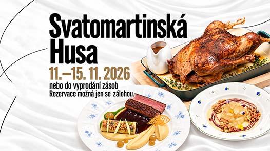 mini box sv martin efihostinec